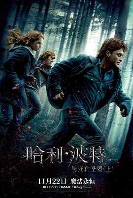 哈利&middot;波特与死亡圣器(上)